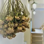 Dom wakacyjny Kal Kove Vendeghaz Es Borteka *