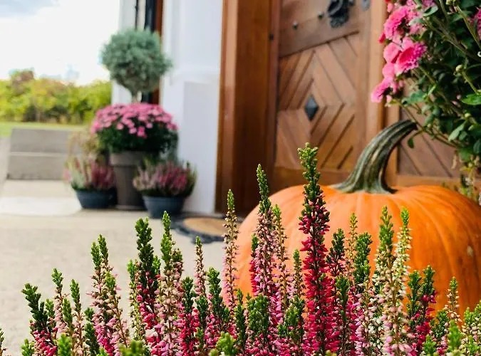 Kal Kove Vendeghaz Es Borteka * Köveskál