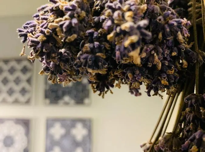 בית נופש Kal Kove Vendeghaz Es Borteka *