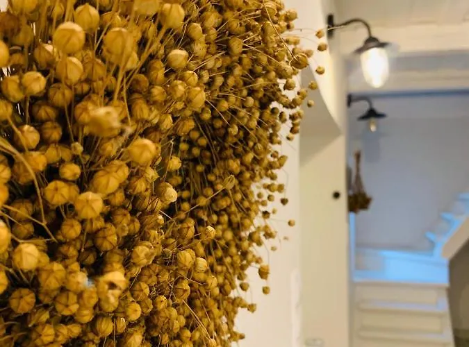 Kal Kove Vendeghaz Es Borteka *