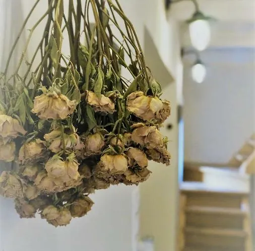 Ferienhaus Kal Kove Vendeghaz Es Borteka *